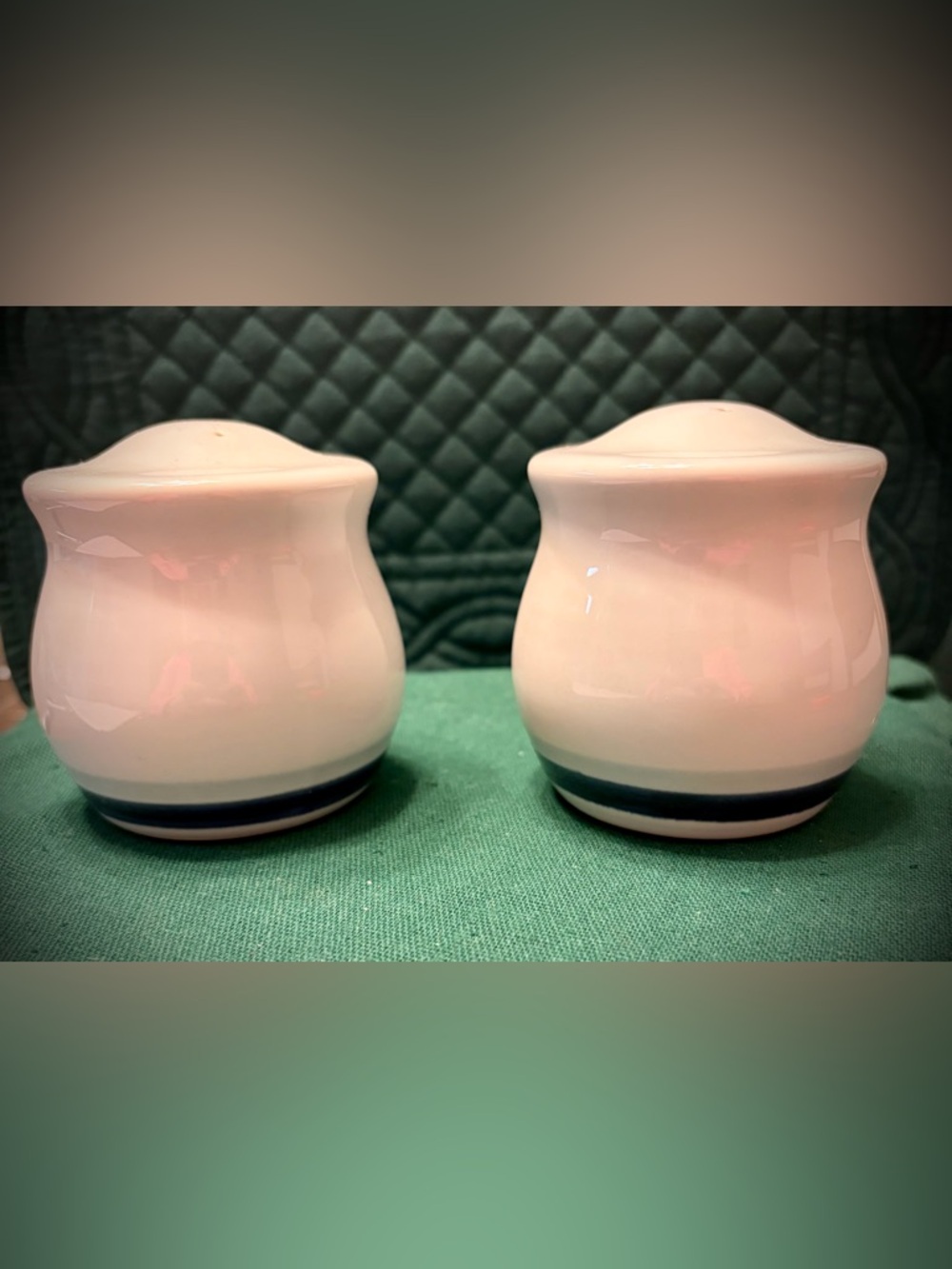 Vintage Pfaltzgraff Salt and Pepper Shakers